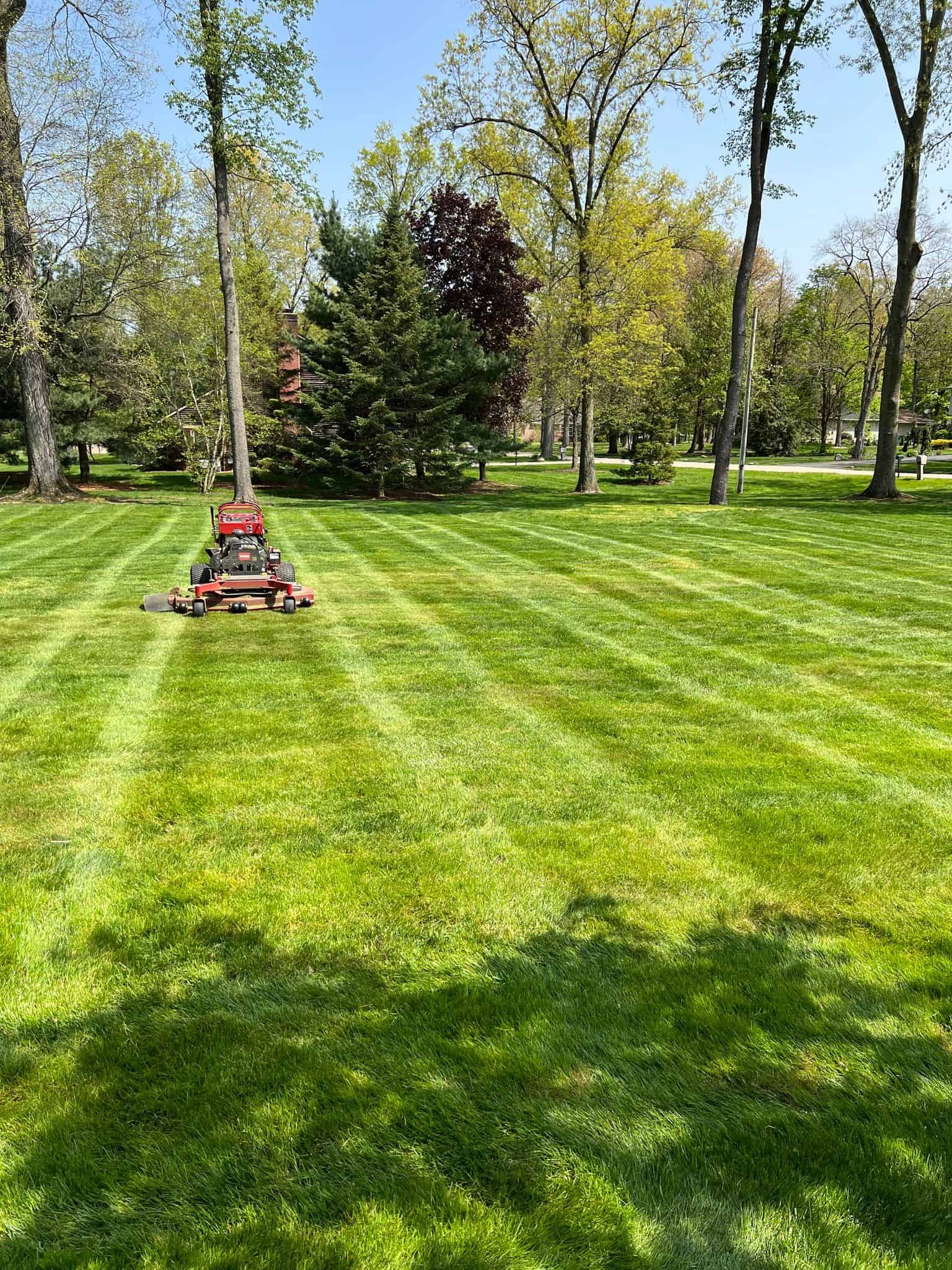 Lawn Maintenance image